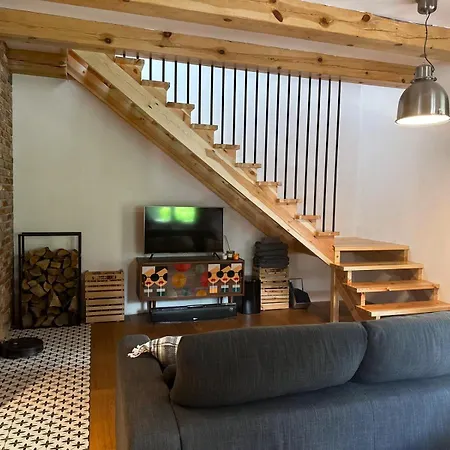 Zacisze Miedzy Brzozami Holiday home *